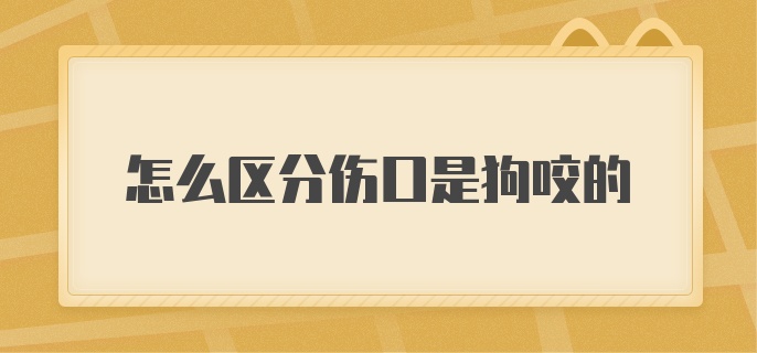 怎么区分伤口是狗咬的