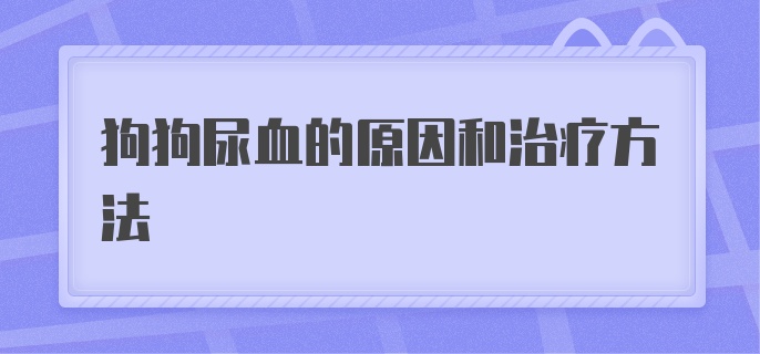 狗狗尿血的原因和治疗方法