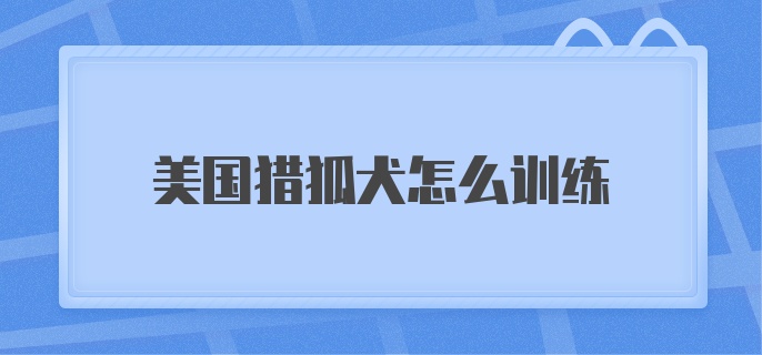 美国猎狐犬怎么训练