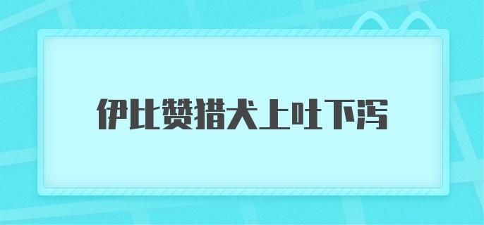 伊比赞猎犬上吐下泻