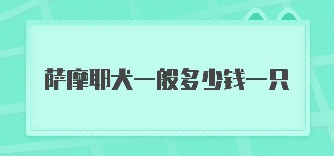 萨摩耶犬一般多少钱一只