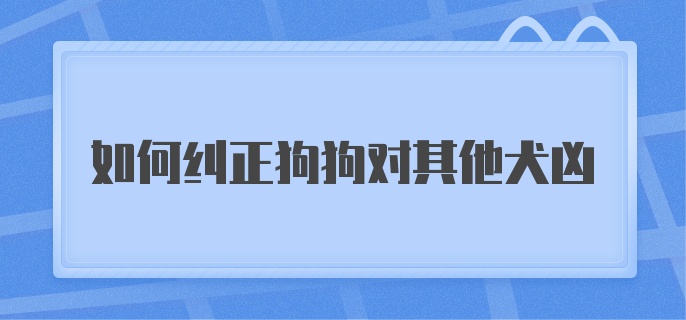 如何纠正狗狗对其他犬凶