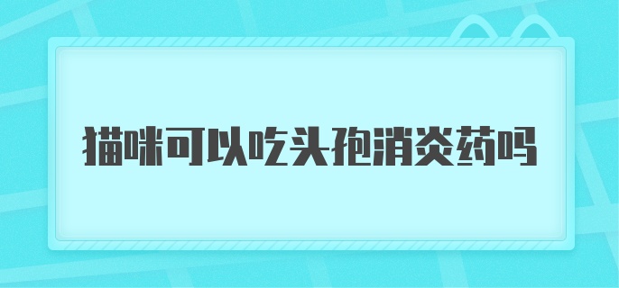 猫咪可以吃头孢消炎药吗