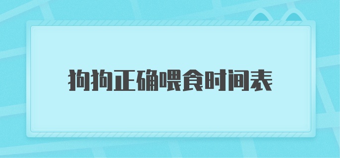 狗狗正确喂食时间表