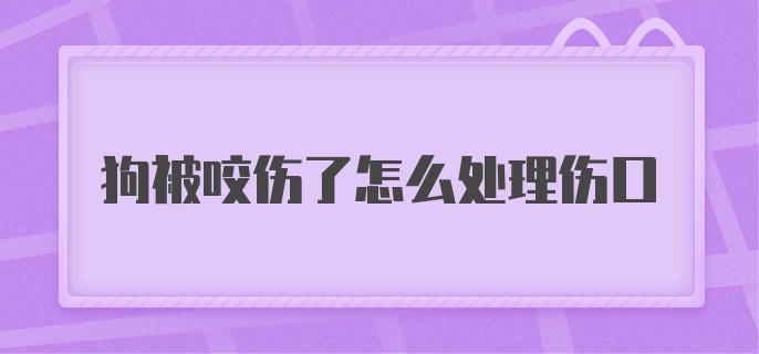 狗被咬伤了怎么处理伤口