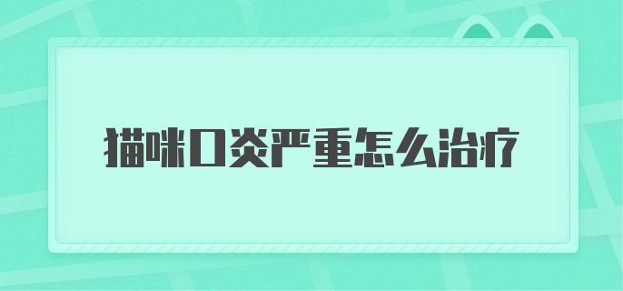 猫咪口炎严重怎么治疗