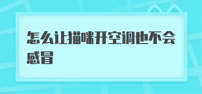 怎么让猫咪开空调也不会感冒