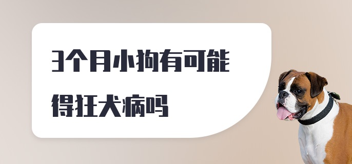 3个月小狗有可能得狂犬病吗