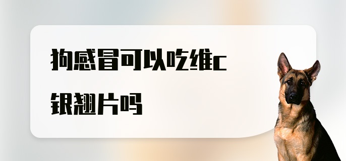 狗感冒可以吃维c银翘片吗