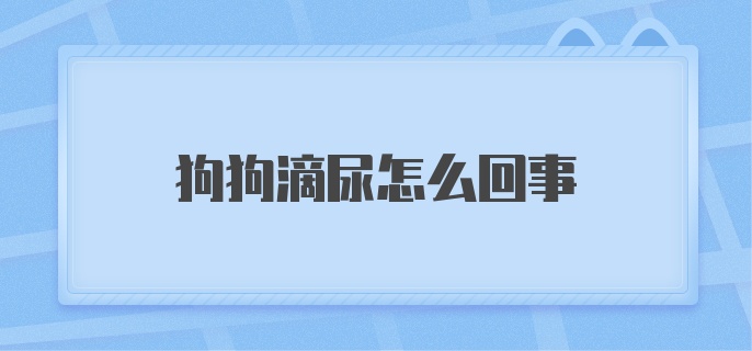 狗狗滴尿怎么回事