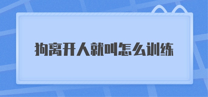 狗离开人就叫怎么训练