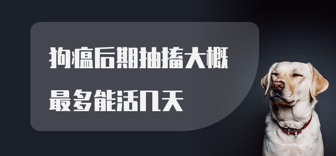 狗瘟后期抽搐大概最多能活几天