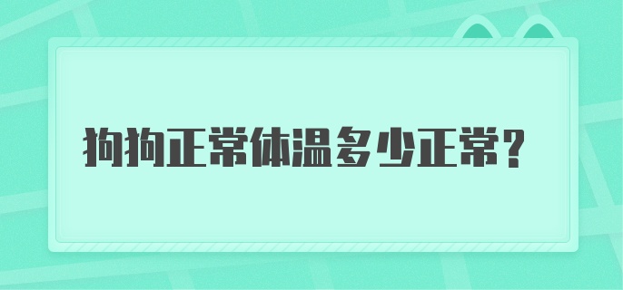 狗狗正常体温多少正常？