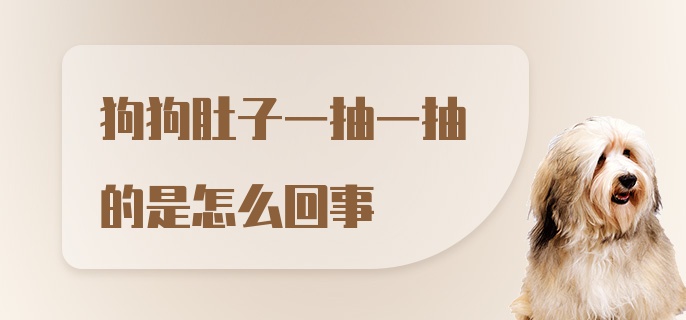 狗狗肚子一抽一抽的是怎么回事