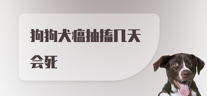 狗狗犬瘟抽搐几天会死