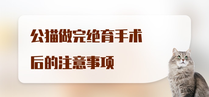 公猫做完绝育手术后的注意事项