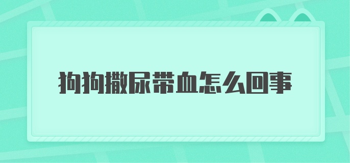 狗狗撒尿带血怎么回事