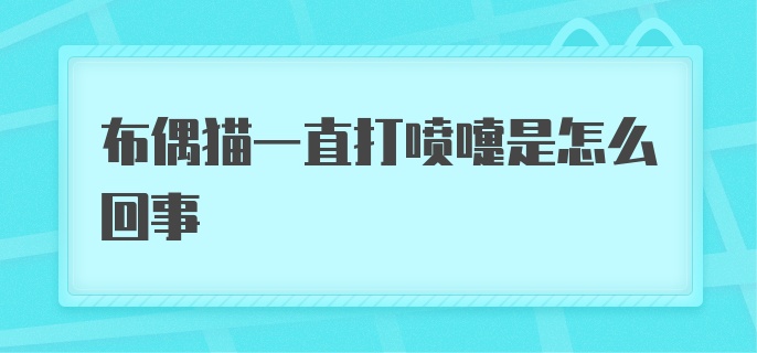 布偶猫一直打喷嚏是怎么回事