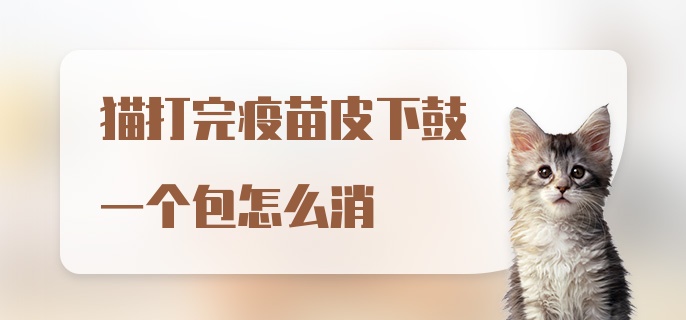 猫打完疫苗皮下鼓一个包怎么消