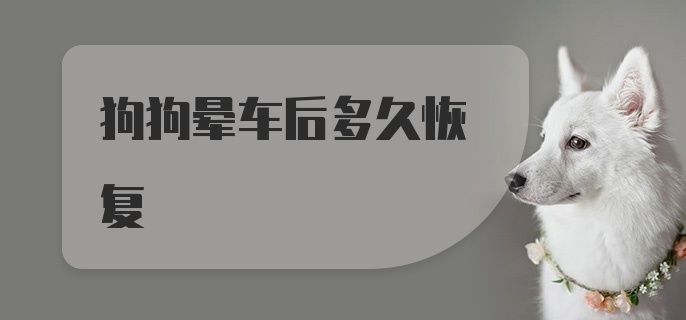 狗狗晕车后多久恢复