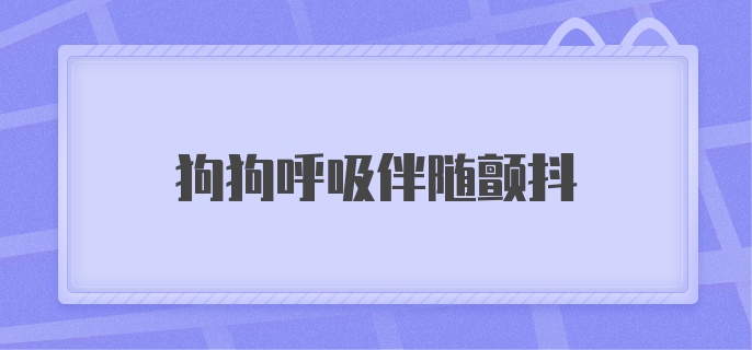 狗狗呼吸伴随颤抖