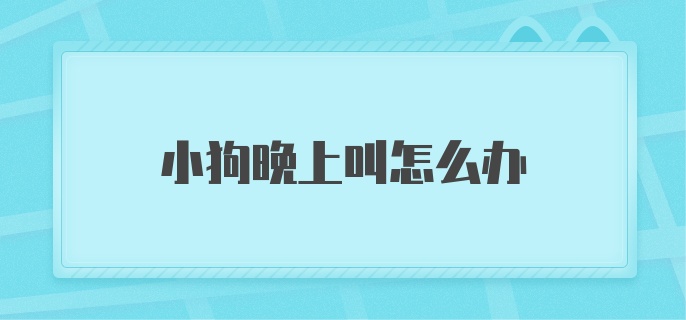 小狗晚上叫怎么办