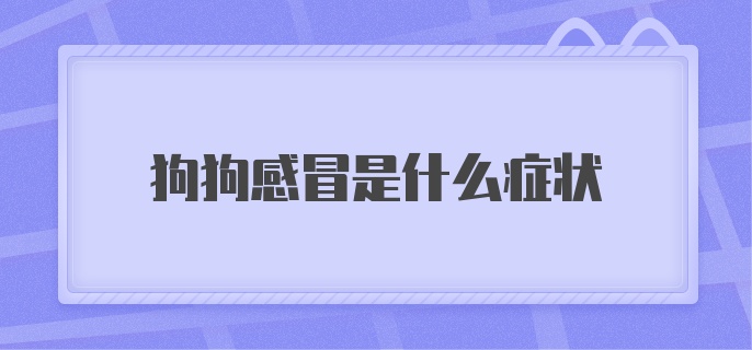 狗狗感冒是什么症状