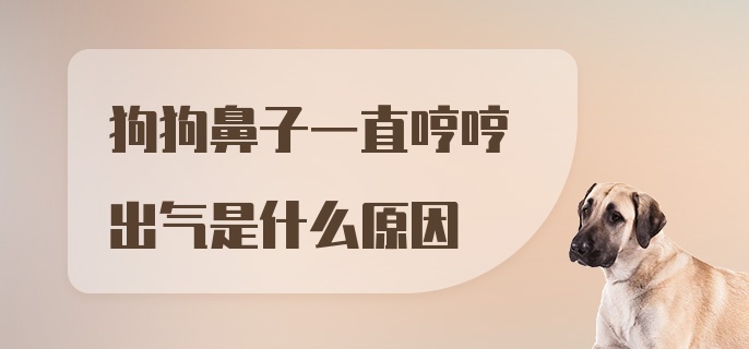 狗狗鼻子一直哼哼出气是什么原因