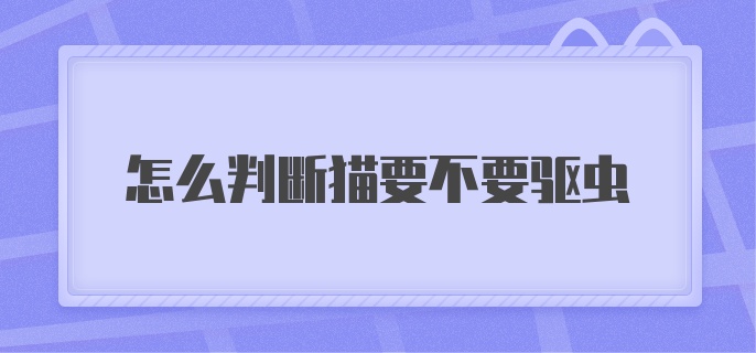 怎么判断猫要不要驱虫