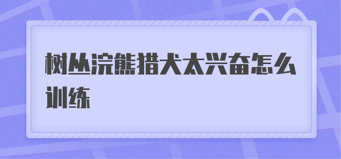 树丛浣熊猎犬太兴奋怎么训练