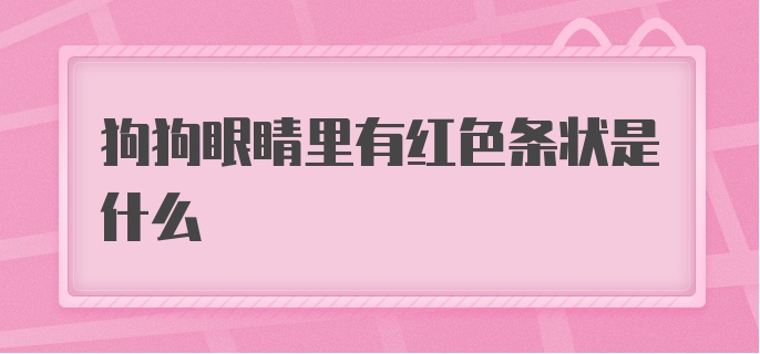 狗狗眼睛里有红色条状是什么