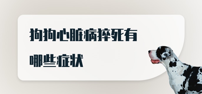 狗狗心脏病猝死有哪些症状