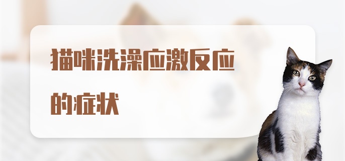 猫咪洗澡应激反应的症状