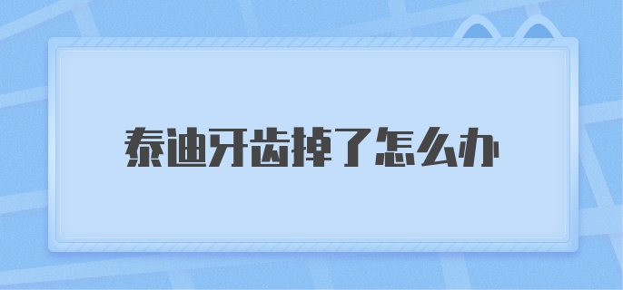 泰迪牙齿掉了怎么办