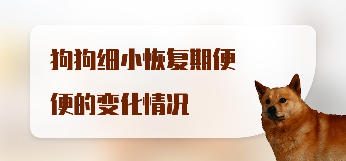 狗狗细小恢复期便便的变化情况