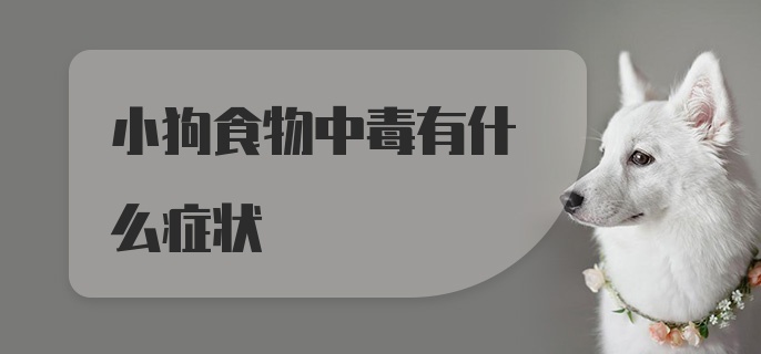 小狗食物中毒有什么症状