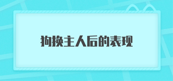 狗换主人后的表现