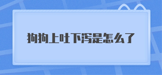 狗狗上吐下泻是怎么了