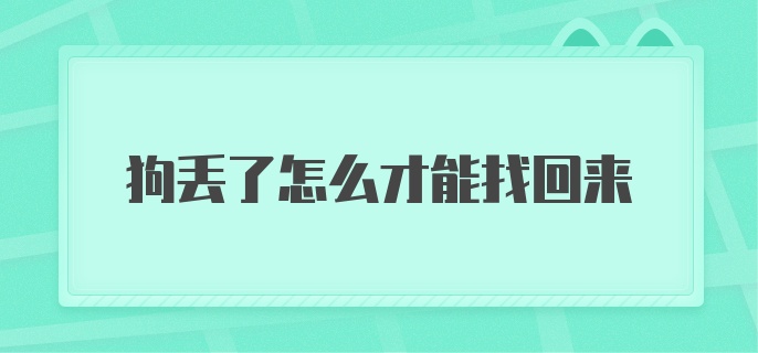 狗丢了怎么才能找回来