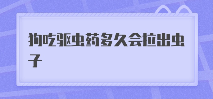 狗吃驱虫药多久会拉出虫子