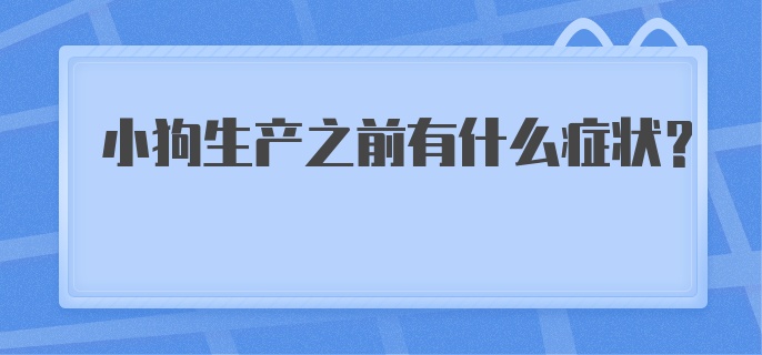 小狗生产之前有什么症状?