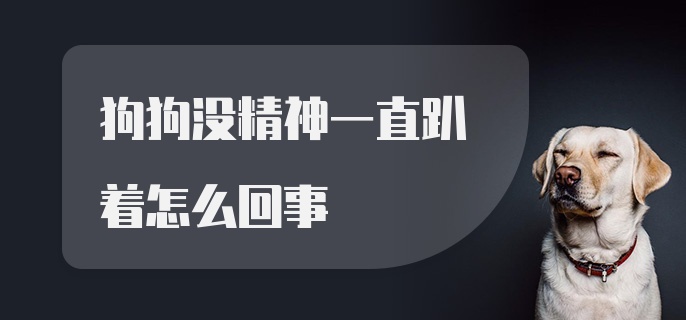 狗狗没精神一直趴着怎么回事