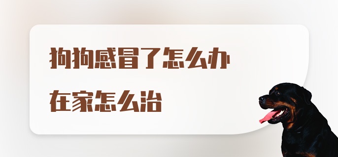 狗狗感冒了怎么办在家怎么治