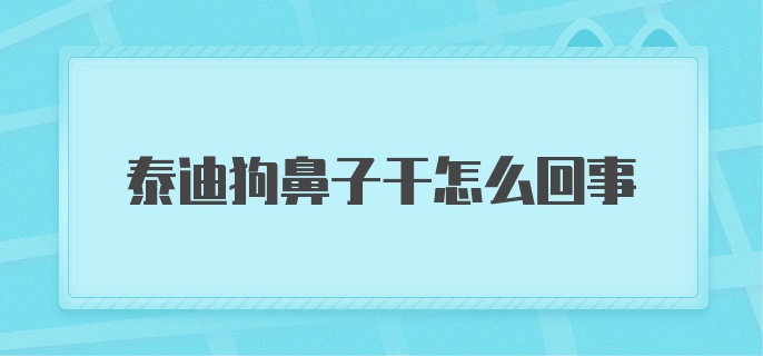 泰迪狗鼻子干怎么回事