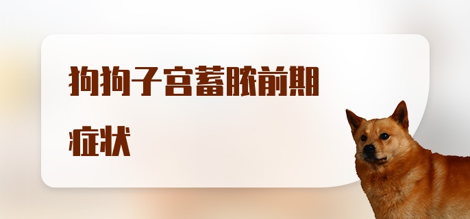 狗狗子宫蓄脓前期症状