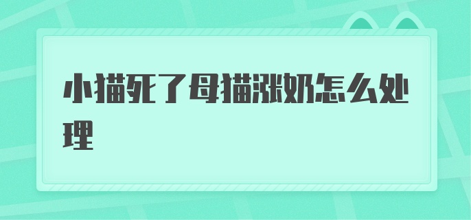 小猫死了母猫涨奶怎么处理