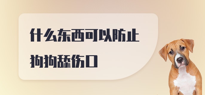 什么东西可以防止狗狗舔伤口