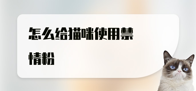 怎么给猫咪使用禁情粉