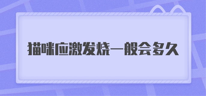 猫咪应激发烧一般会多久