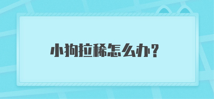 小狗拉稀怎么办啊？